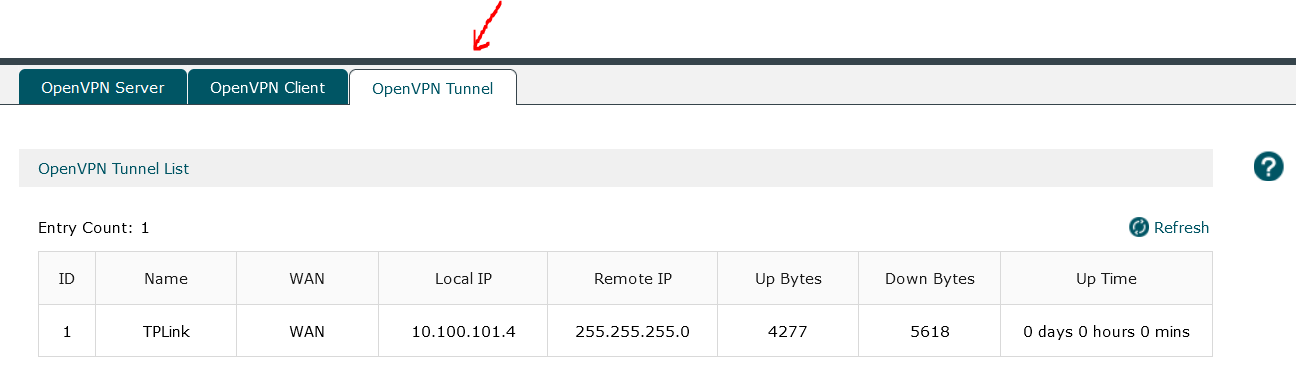 tp link router openvpn server